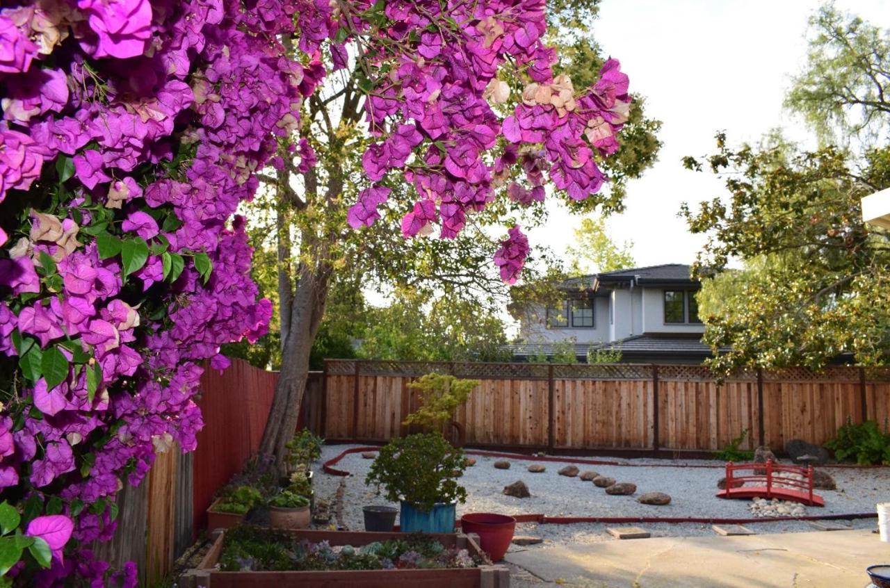 Palo Alto Quiet 1 Bedroom Stanford University Екстериор снимка