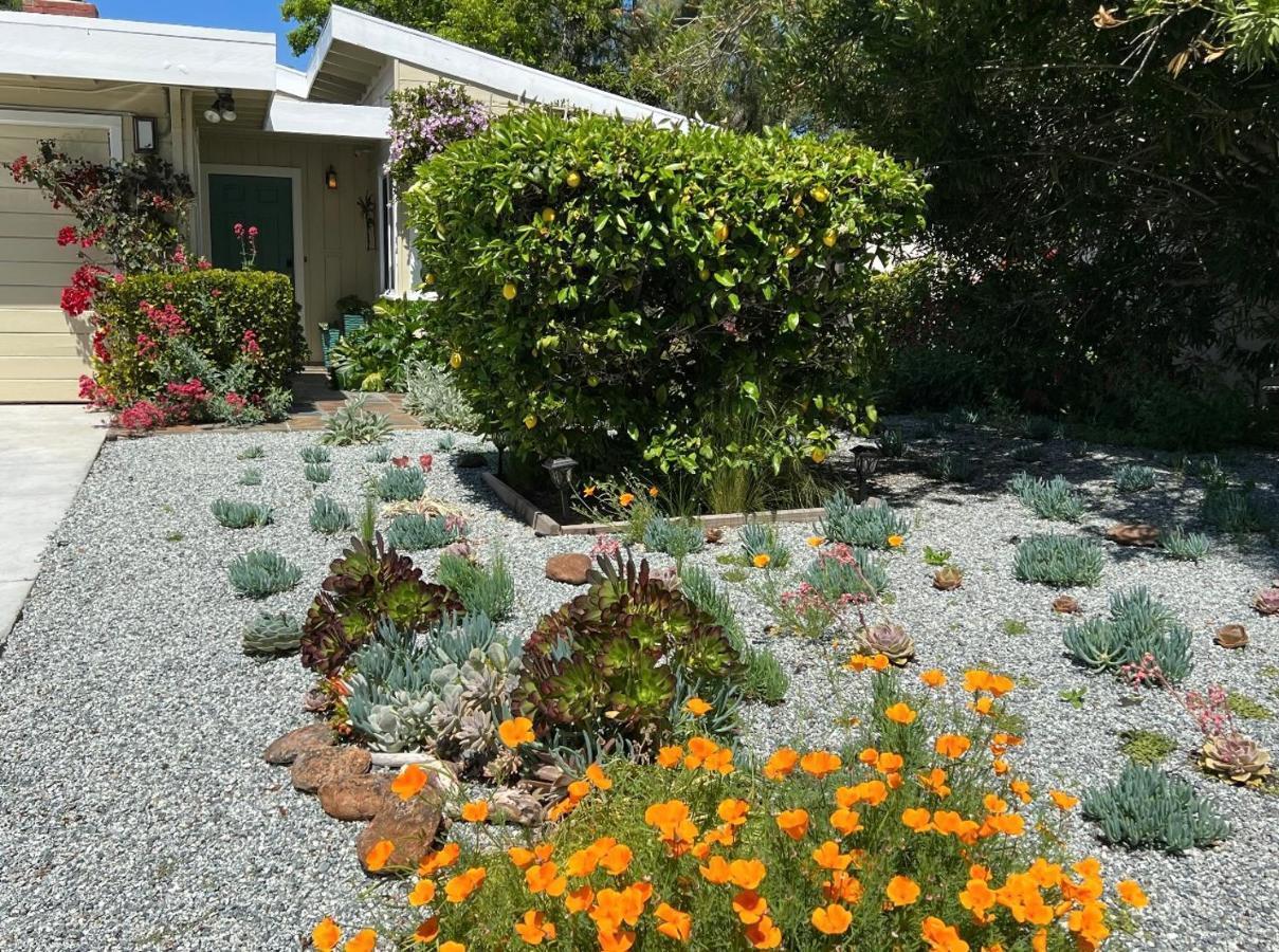 Palo Alto Quiet 1 Bedroom Stanford University Екстериор снимка