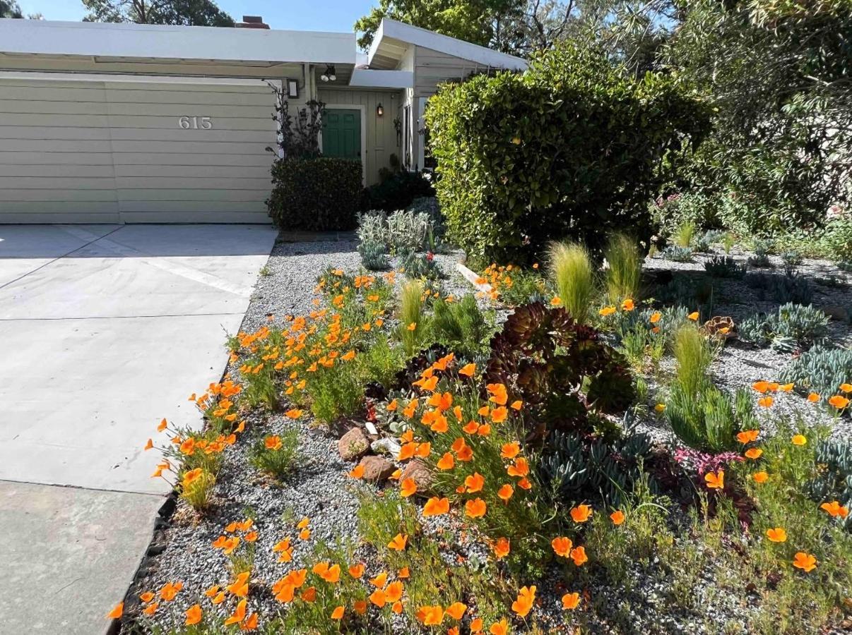 Palo Alto Quiet 1 Bedroom Stanford University Екстериор снимка